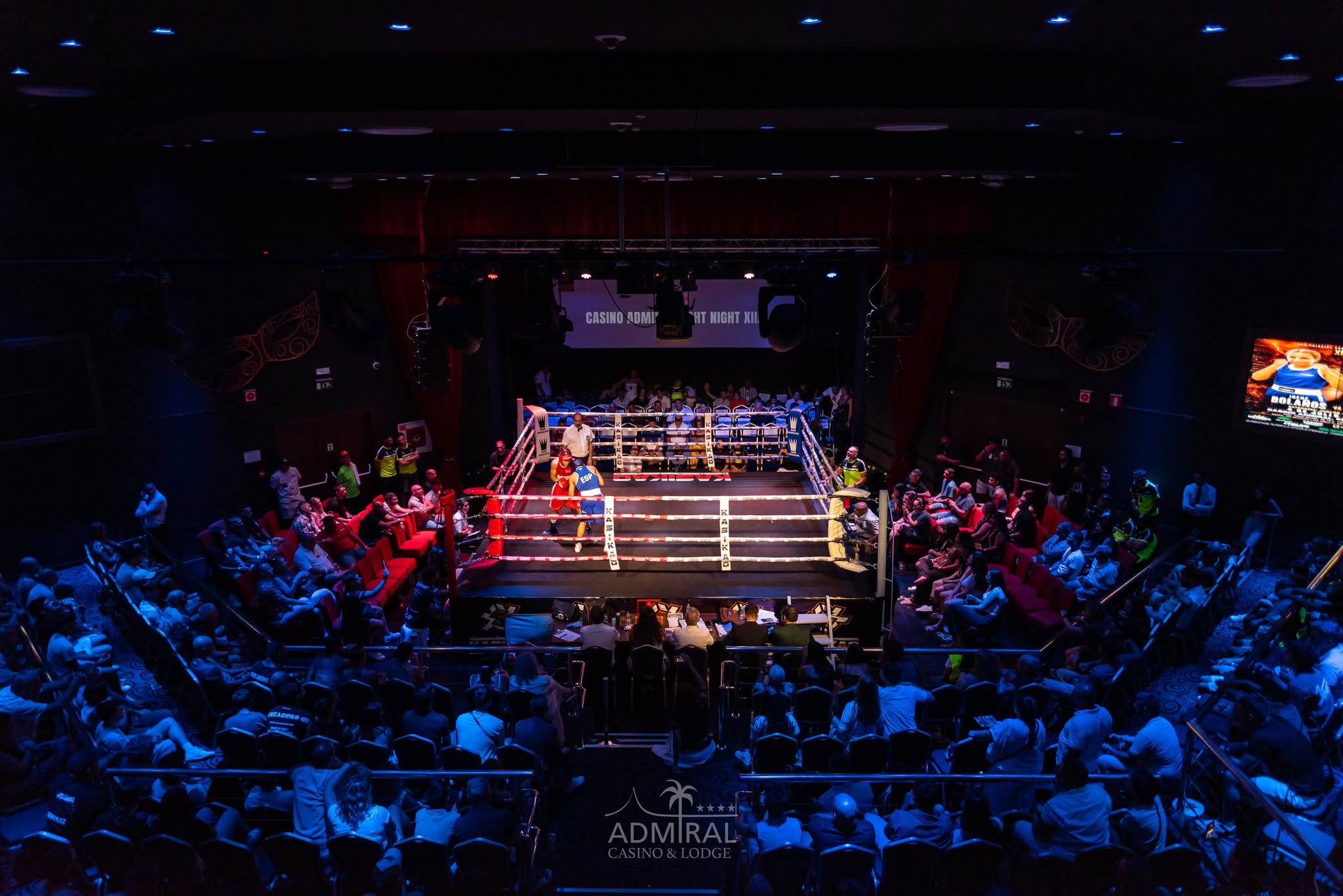 El boxeo vuelve a llenar el Admiral Arena: revive la Fight Night XIII