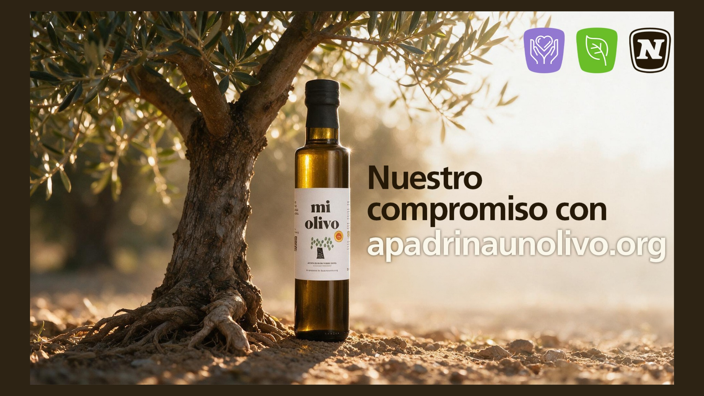 NOVOMATIC Spain renueva por segundo año su apoyo a Apadrinaunolivo.org, el proyecto que recupera olivos abandonados en Oliete (Teruel)